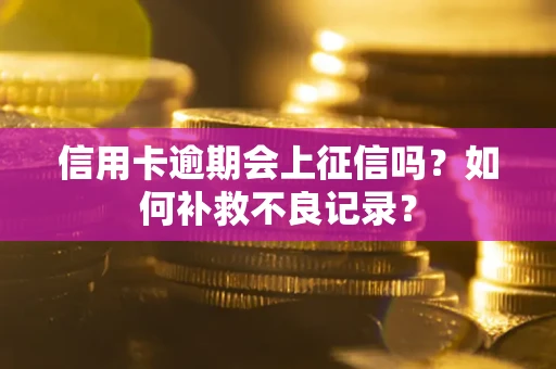 济南信用卡逾期会上征信吗？如何补救不良记录？