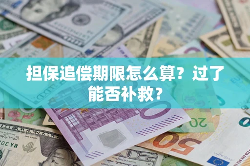 济南担保追偿期限怎么算？过了能否补救？